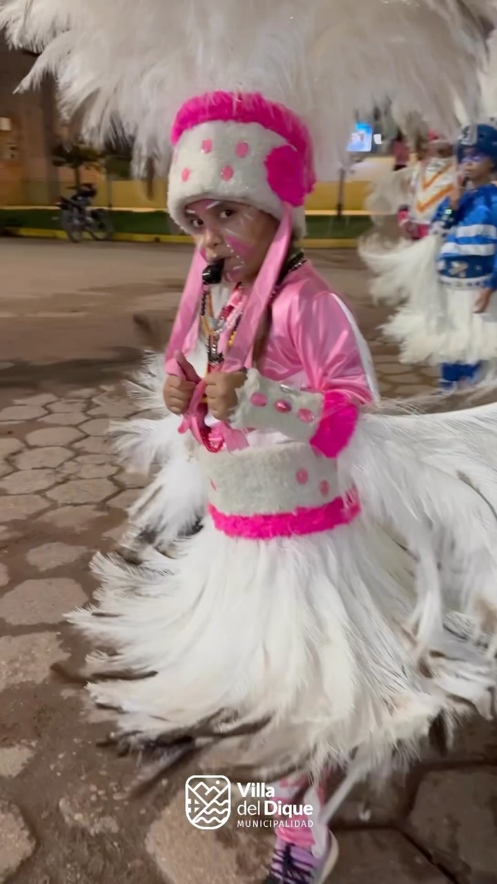 Resumen Peatonal de Carnaval