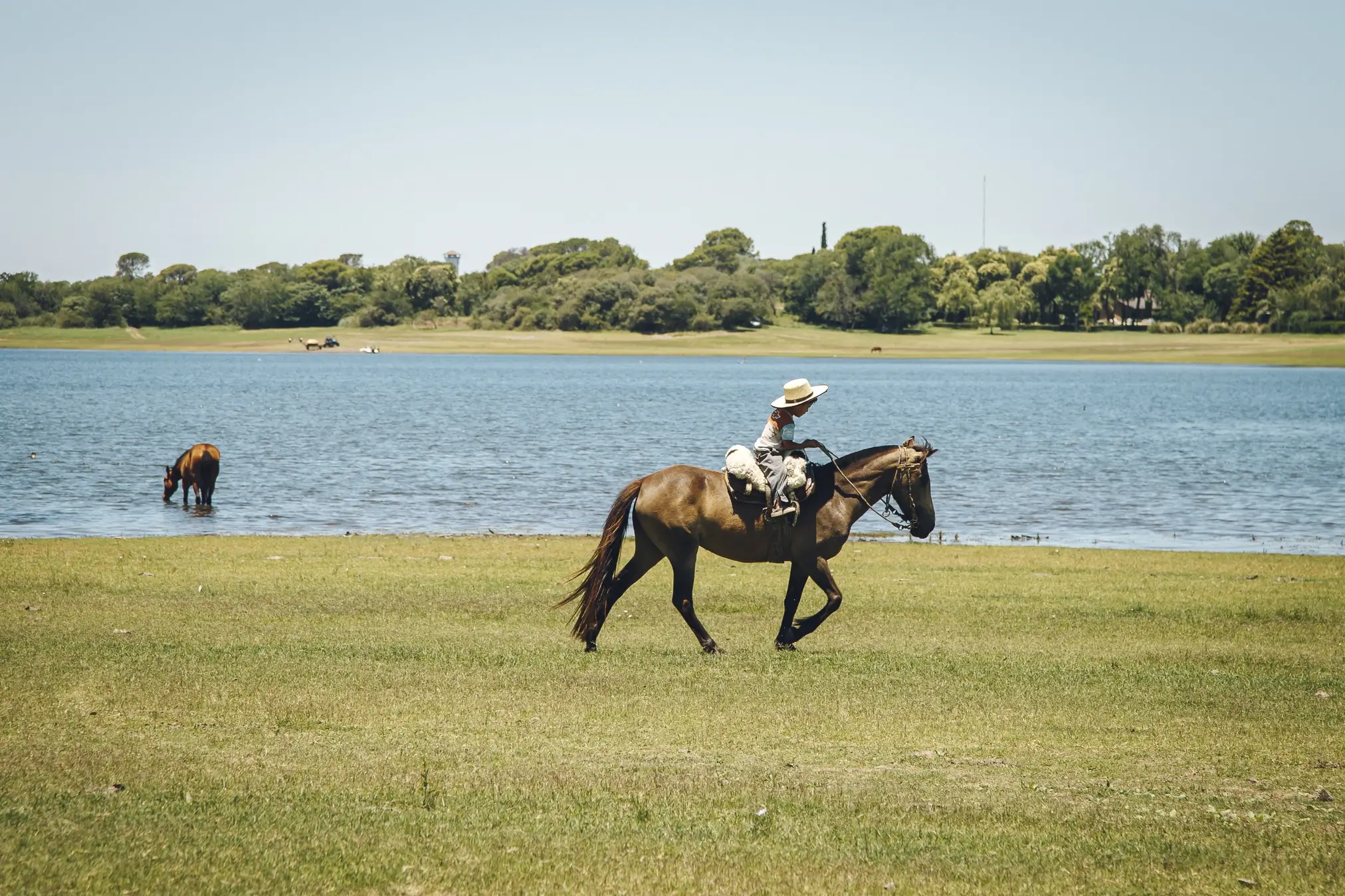 Paseos a Caballo - Jinete a caballo junto al lago con ganado en el fondo